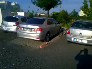 Biri Kapalı Otopark Mı Dedi  !