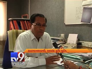 Hard time for groundnut growers as forecasters claim less rain this year, Rajkot - Tv9 Gujarati