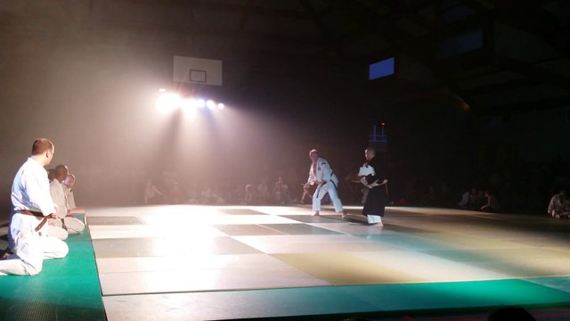 Shorinji Kempo à la soirée arts martiaux de Jouy le Moutier 2014