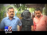Mumbai Police arrests one in murder case - Tv9 Gujarati