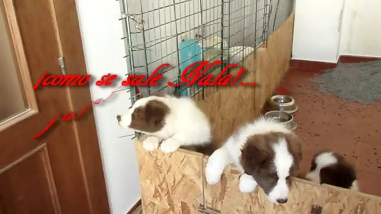 Nala&Aiko se van...