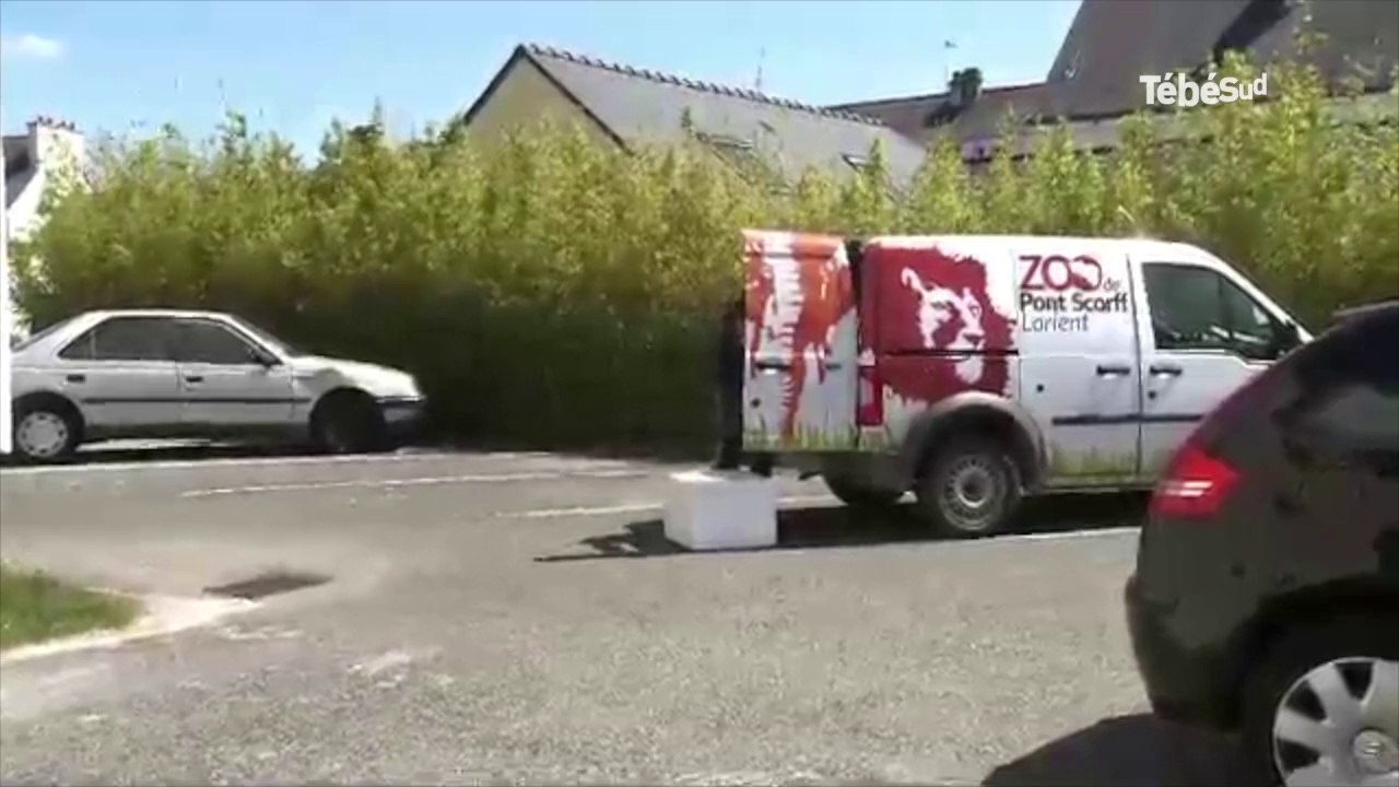 Larmor-Plage (56). Boas et pythons abandonnés dans un appartement