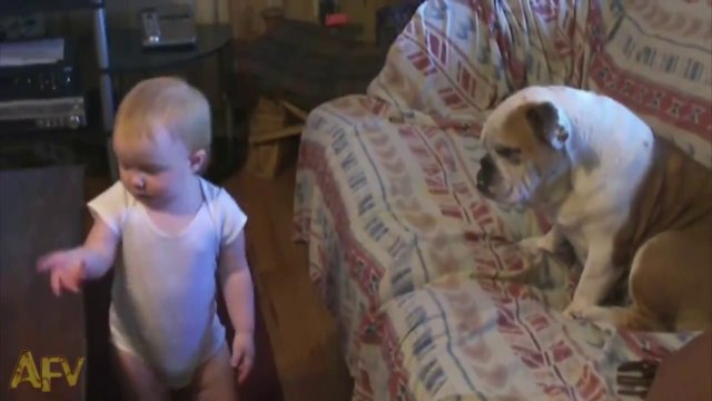 Baby VS Dog... hilarious baby speaking in his own langage!