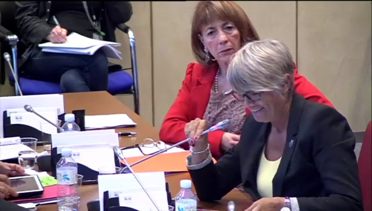 Véronique Massonneau - Audition Marisol Touraine