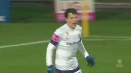 La superbe demi-volée de Phillip Hosiner !