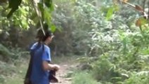 Tourist Confronts Charging Elephant