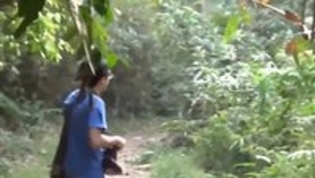 Tourist Confronts Charging Elephant