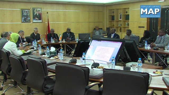 لحسن الداودي يتباحث مع نظيره من جمهورية النيجر