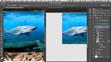 eCommerce site design and development