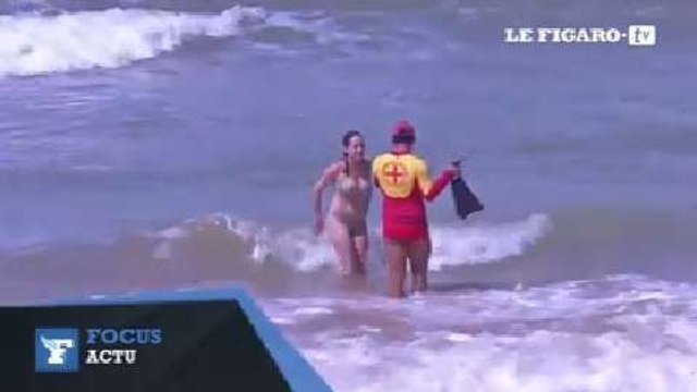 Brésil : alerte aux requins à Recife