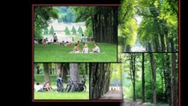 Sinead O'Connor - Nothing Compares 2 - Parc de Saint Cloud_ Paris - HQ Slideshow