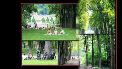 Sinead O'Connor - Nothing Compares 2 - Parc de Saint Cloud_ Paris - HQ Slideshow