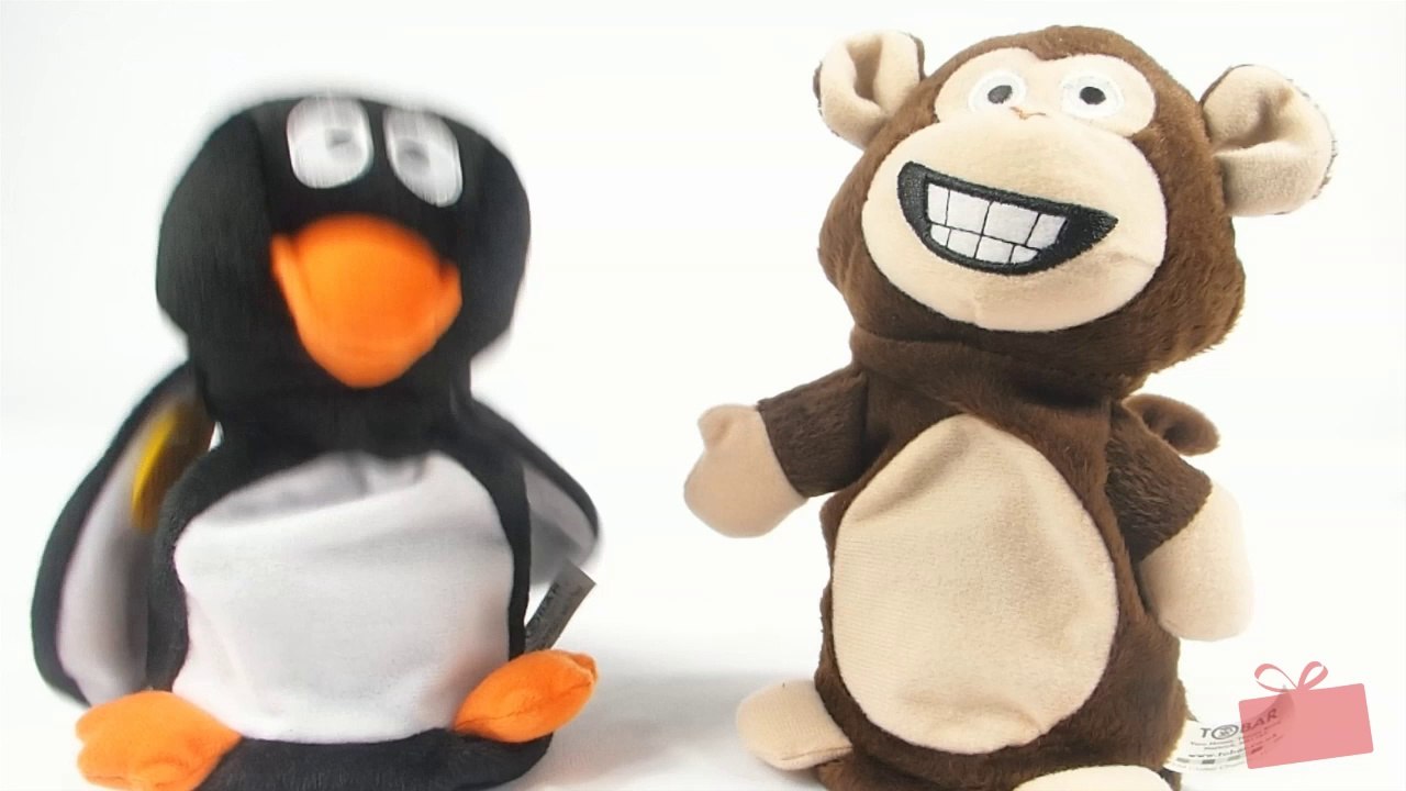 Peluches Pingouin et singe qui parlent