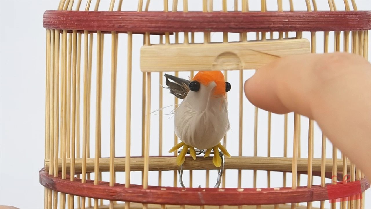 Cage à oiseau musicale