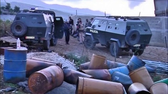 Albanian police burn more than 10 tonnes of marijuana