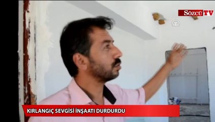 Kırlangıç sevgisi inşaatı durdurdu