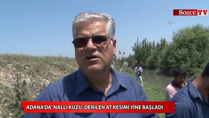 Adana'da 'nallı kuzu' denilen at kesimi yine başladı