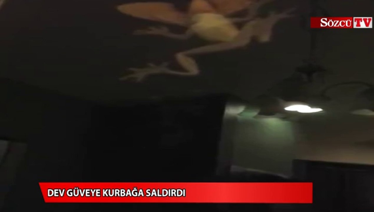 Böyle bir şeyi daha önce hiç görmediniz!