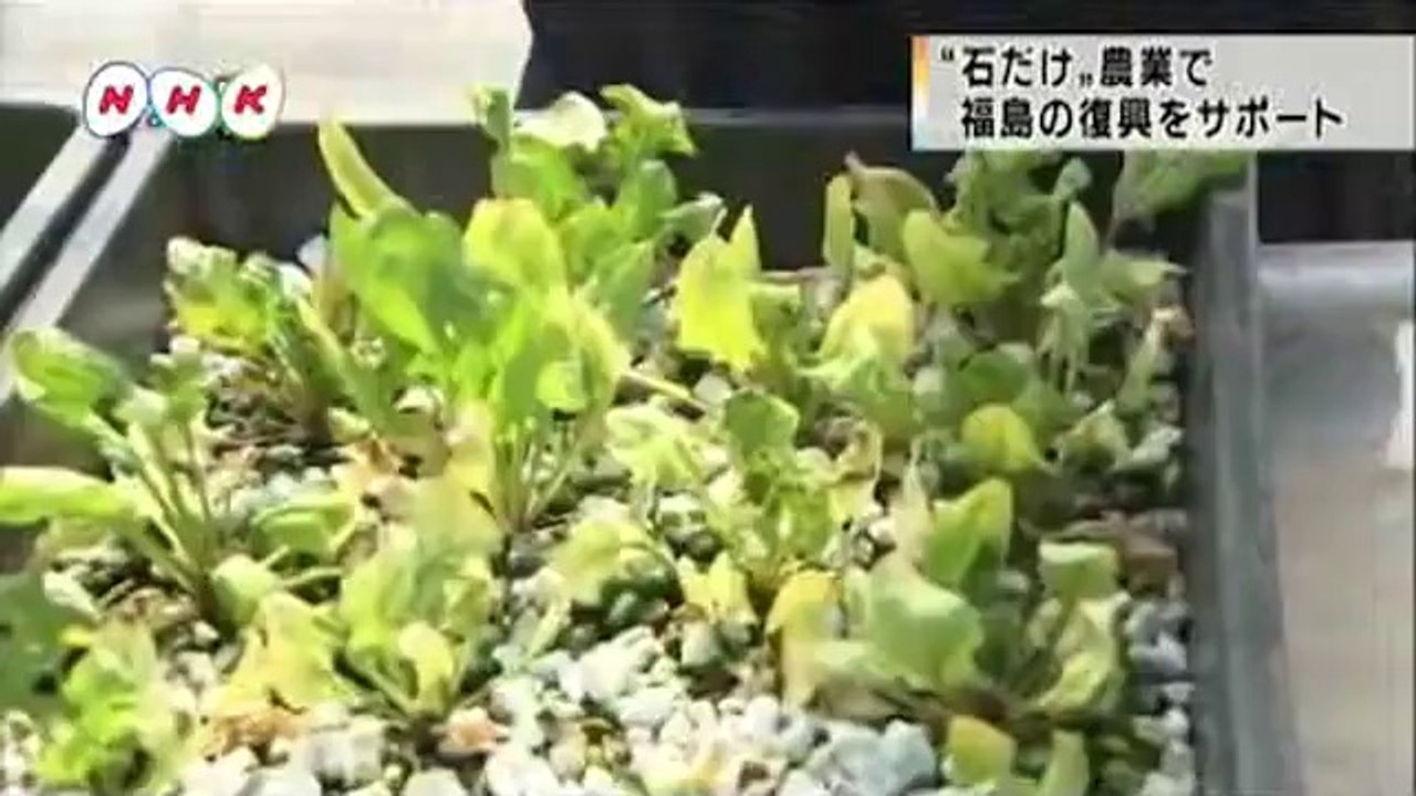 20140619はまなかあいづ