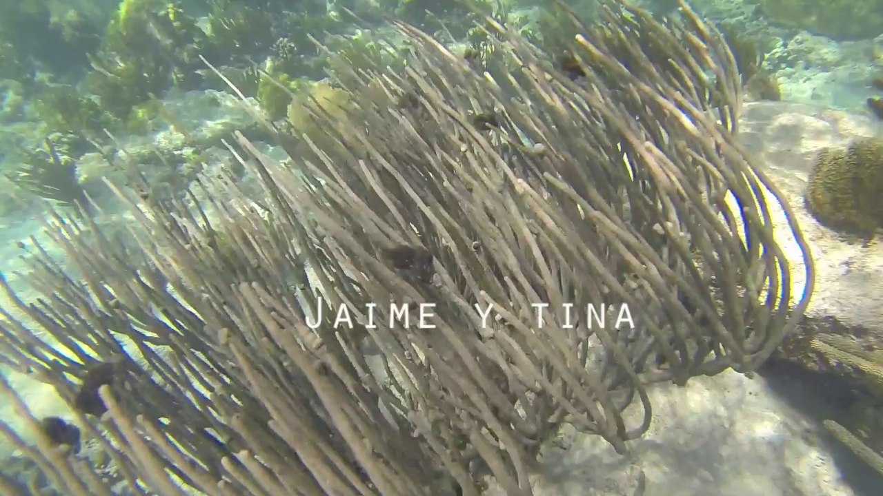 Kitesurfing and Snorkeling in Xpu Ha Beach Riviera Maya Mexico