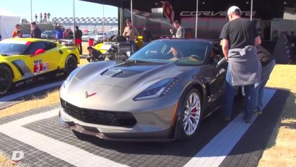 Ron Sandack Respect the Stingray