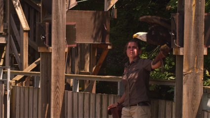 Rendez vous avec le parc de Courzieu