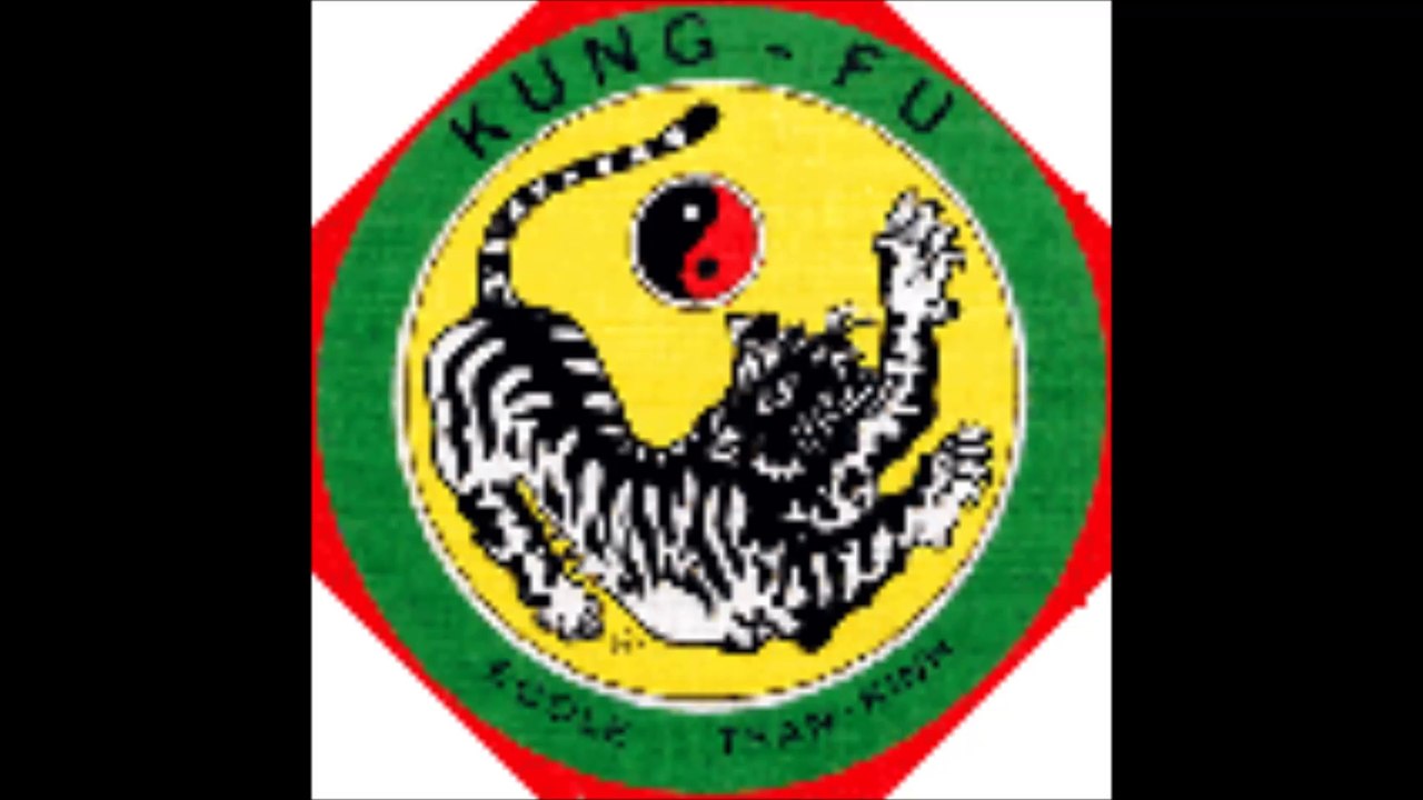 RETOUR DU TIGRE VOLANT- 01 45 77 30 78