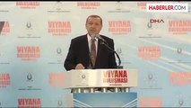 4başbakan Erdoğan Bizden Hiç Kimsenin Korkmasına, Çekinmesine, Tedirgin Olmasına Gerek Yok