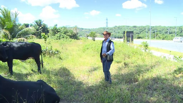 Brésil - Le cauchemar des habitants de Recife
