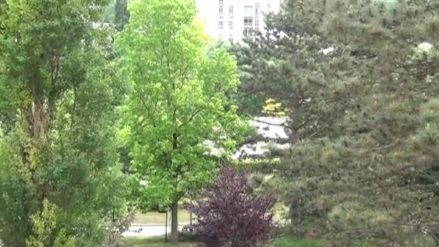 Dijon lac beau T2 - Agence CARREZ immobilier