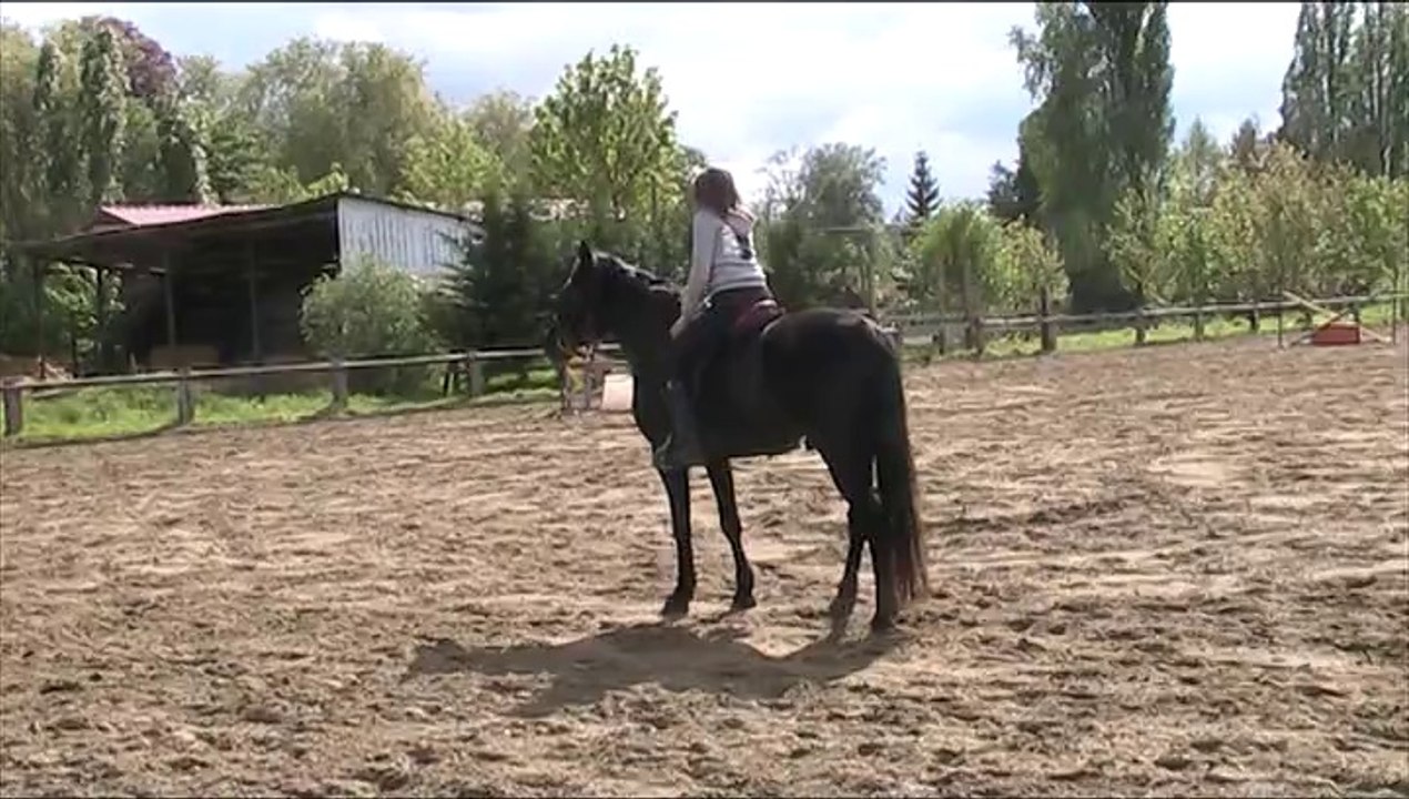 MOV034