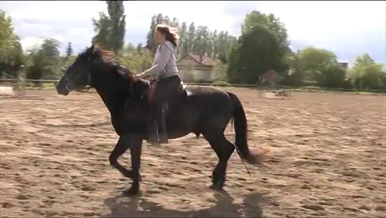 MOV035