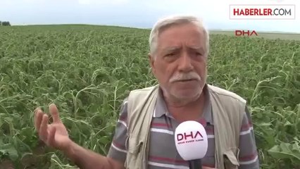 Edirne'de Dolu Çiftçiyi Vurdu
