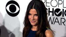 Sandra Bullock's Intruder Charged With Multiple Felony Weapon Possession Counts