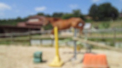 Cuppydam de l'Orgris 19-06-14 (saut2)