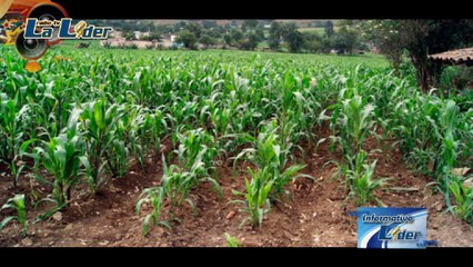 INFORMATIVOLIDER1 170614