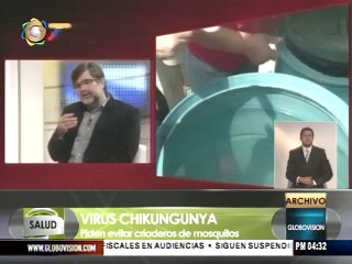 Ministro de Salud: Es poco frecuente que el Chikungunya sea mortal