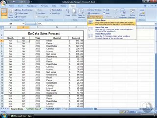 Excel 2007 Essential Training-13-Freezing areas of a worksheet