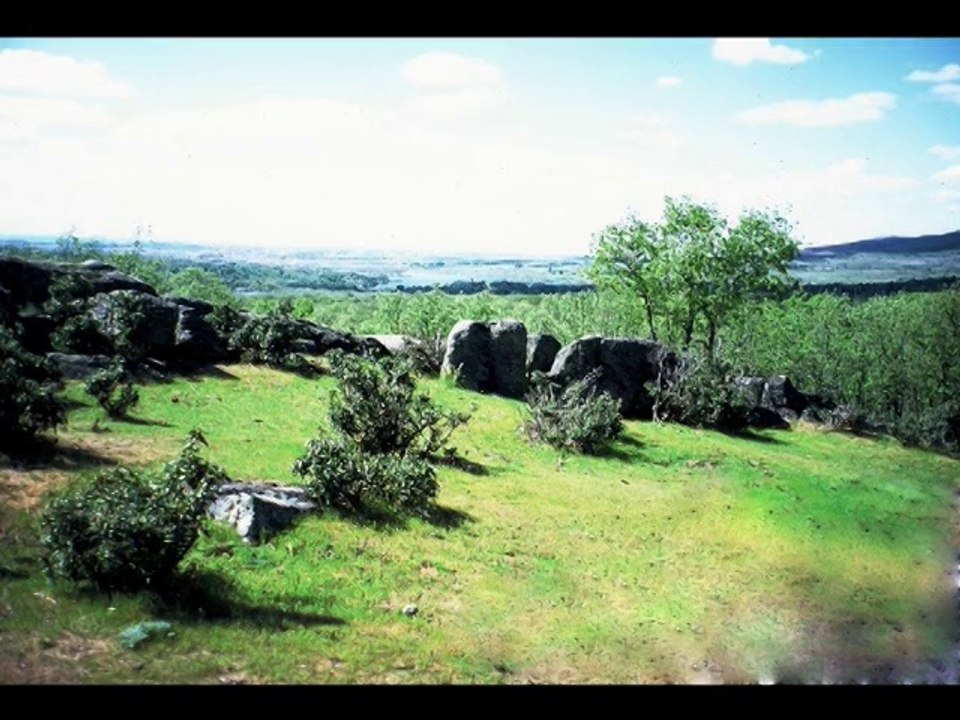 Pinar de Valsaín