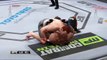 EA Sports UFC - EA Sports UFC - Gameplay (Combat)