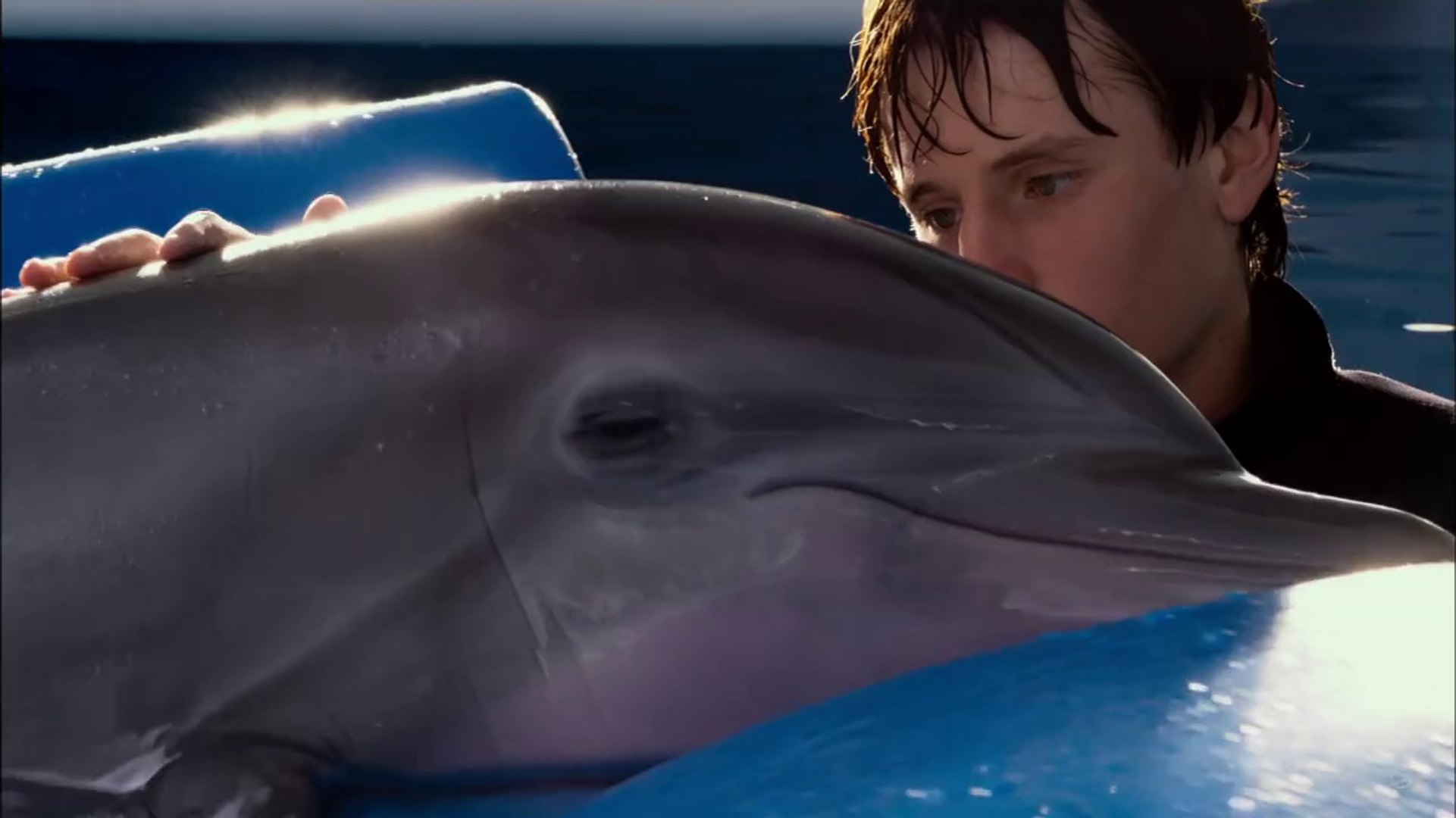 Дельфин 2 группа. Дельфин пятерка. Дельфин Винтер фото. Джон Каннигам Лилли-человек и Дельфин.
