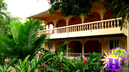 Hailey Land Intro | Hailey'sTropical Fruit & Flower Farm