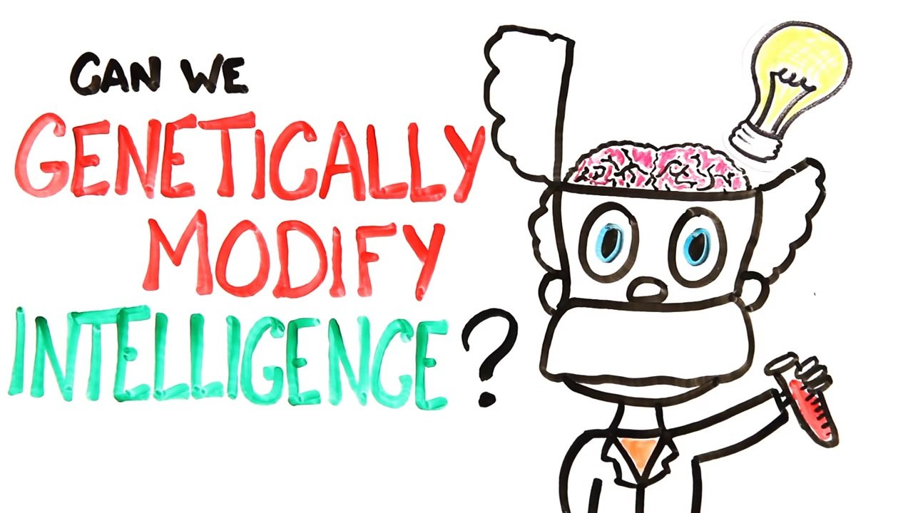 Can We Genetically Improve Intelligence