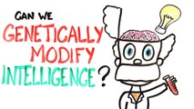 Can We Genetically Improve Intelligence