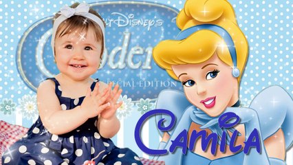 Projeto para Retrospectiva Tema Cinderela 20 fotos