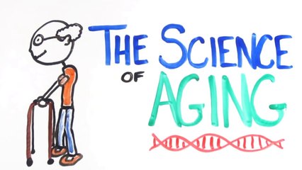 The Science of Aging