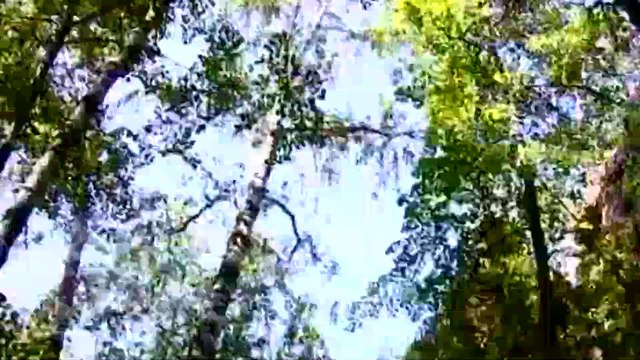 10 фильм. «Челябинская область. „Гости“ из подземелья» [ 26.03.2011 ]