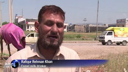 Camel milk new drink of choice for Pakistani middle classes