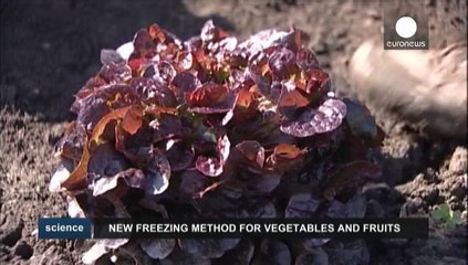 Des légumes (presque) comme s'ils n'avaient pas été congelés