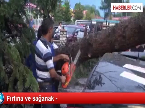 Karabük'te Rüzgar Ağaçları Kökünden Devirdi
